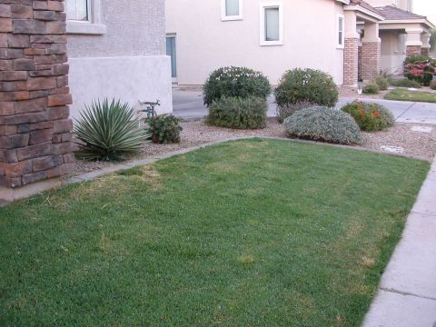1984 Ford Bronco - A residential front yard features a lawn, bushes, and a stone-clad pillar next to a building.