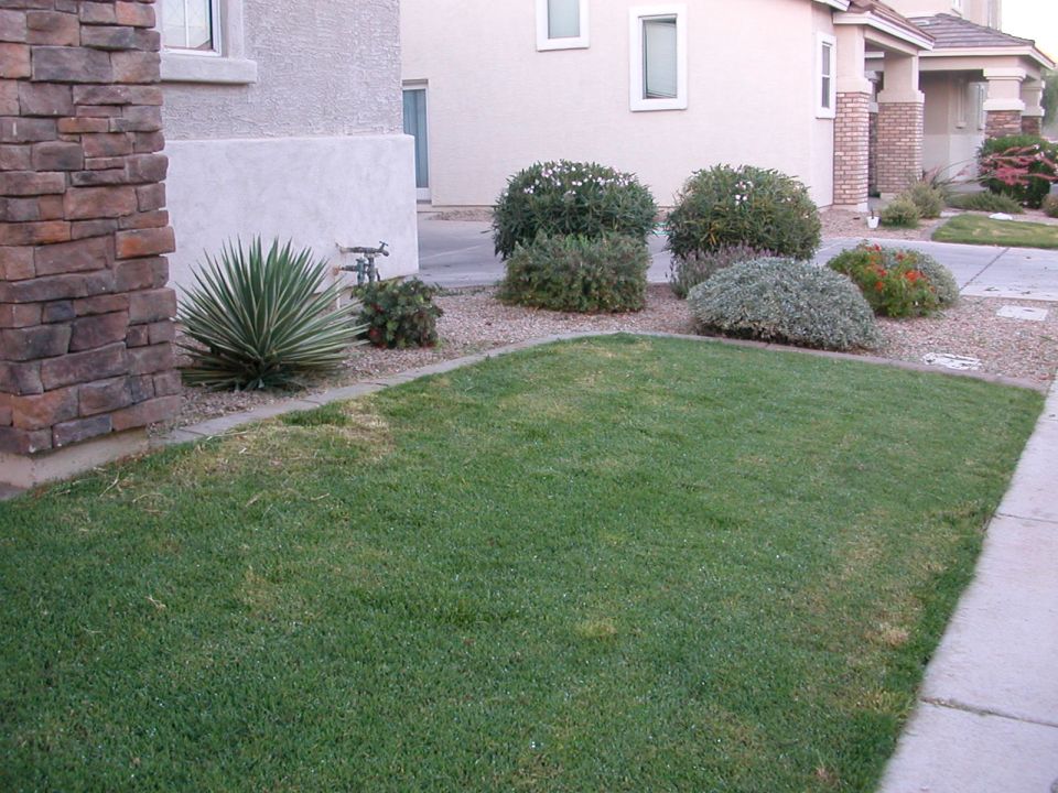 Front yard with green grass, landscaping, and a stone-clad pillar