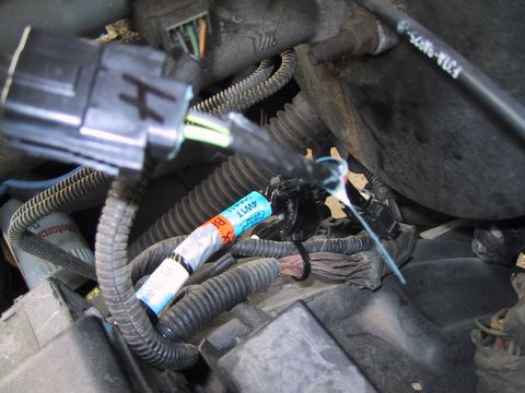 1994 Ford Bronco - Close-up of an engine-bay wiring harness with a large black multi-pin connector marked with a hand-drawn '4' and loom tags labeled '4WD' an…