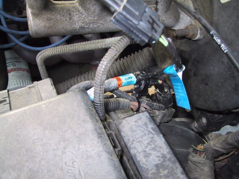 1994 Ford Bronco - Close-up inside a Ford engine bay showing loom-wrapped wiring harnesses and connectors, a black Ford power-distribution box, blue spark-plu…