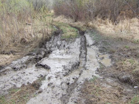 1989 Ford Bronco - Picture doesn't really tell the whole story, My truck was so deep that I could step onto the roof. The back bumper was under the mud, Thats…