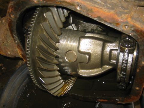 1995 Ford Bronco - this is right after i learned how bad old rotten gear oil smells.