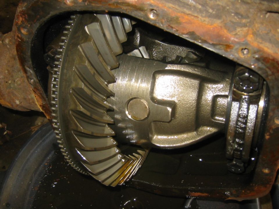 this is right after i learned how bad old rotten gear oil smells.