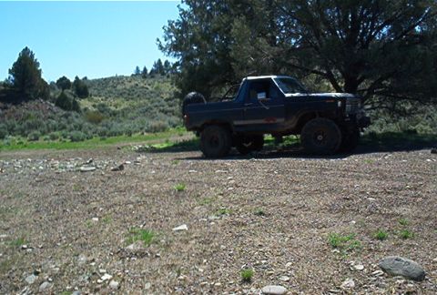 1986 Ford Bronco - This 1986 Ford Bronco is seen parked in a dry, rocky outdoor setting under a large tree.