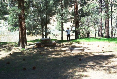 1986 Ford Bronco - A person stands in a wooded area next to a picnic table and a fire pit.