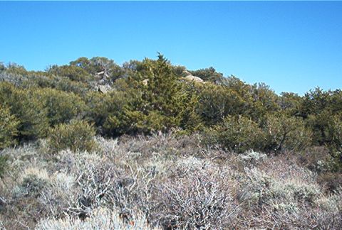 1986 Ford Bronco - A dry, arid landscape with sparse vegetation and a clear blue sky. The image contains a watermark at the bottom right.