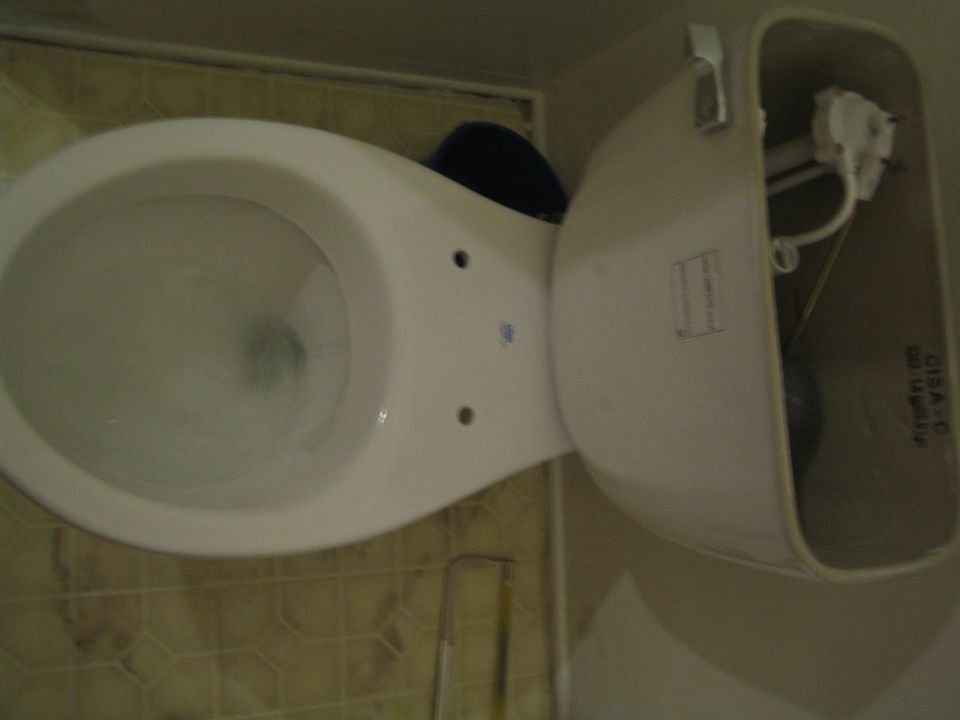 toilet bowl and tank with flushing mechanism visible