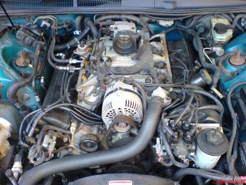 1994 Ford Thunderbird - A close-up view of a vehicle's engine bay, showing numerous mechanical parts and wiring.