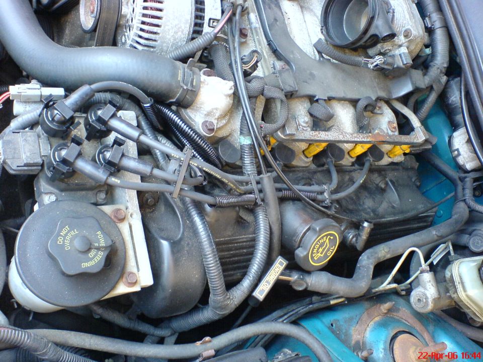 Engine bay of a 1994 Ford Thunderbird, showing spark plug wires, power steering reservoir, and engine oil cap