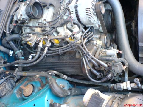 1994 Ford Thunderbird - Close-up view of an engine bay, showing spark plug wires, alternator, and various hoses and components.