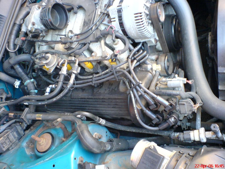 Engine bay with spark plug wires and alternator