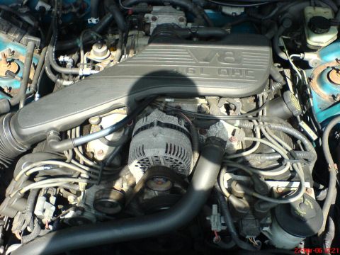 1994 Ford Thunderbird - Close-up view of a V8 4.6L OHC engine, showing the alternator and various hoses and wires.