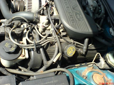 1994 Ford Thunderbird - Close-up view of the engine bay of a 1994 Ford Thunderbird, highlighting the V8 DOHC engine components.