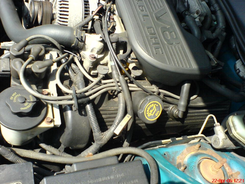Engine bay of a 1994 Ford Thunderbird, showing the V8 DOHC engine, spark plug wires, and engine oil cap
