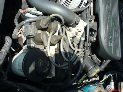 1994 Ford Thunderbird - Close-up of a Ford 4.6L SOHC V8 engine, showing spark plug wires and various hoses.