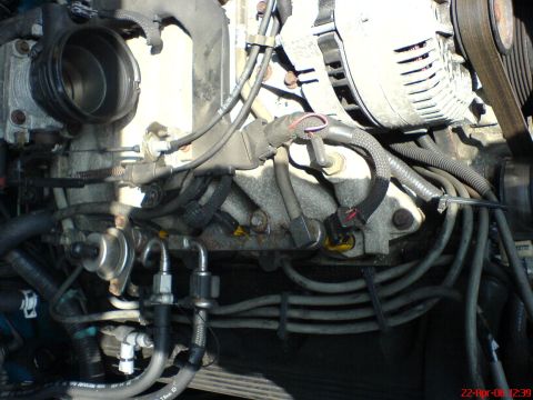1994 Ford Thunderbird - Close-up view of engine components including the throttle body and alternator.