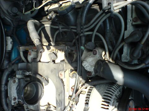 1994 Ford Thunderbird - Close-up view of a vehicle's engine bay, showing various hoses, wires, and the Ford logo on the coolant reservoir cap.