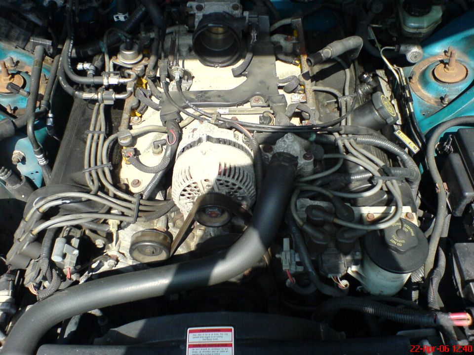 Engine bay of a 1994 Ford Thunderbird showing the V6 engine, alternator, and various hoses