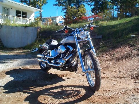 2000 Harley-Davidson Softail