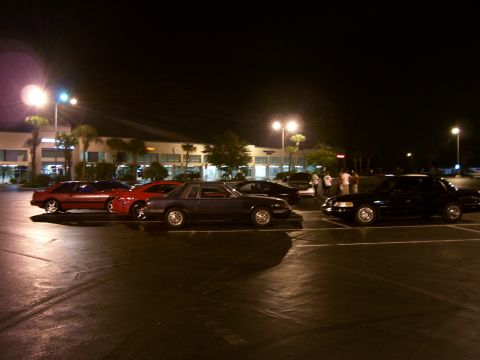 1994 Ford Probe - A group of Ford Mustangs are parked in a lot at night, illuminated by streetlights.