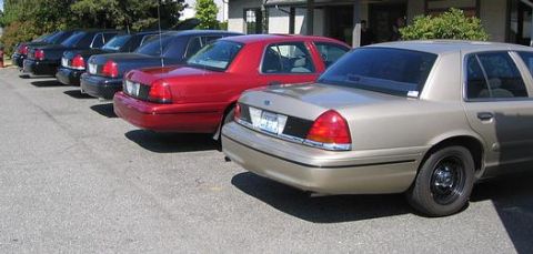 1999 Ford Crown Victoria - A line of Ford Crown Victoria sedans, including a gold model in the foreground, are parked in a lot.