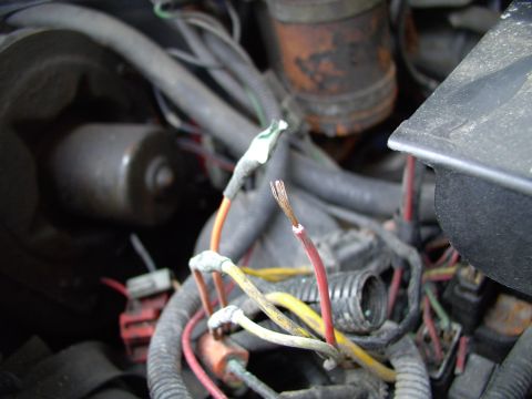 1986 Ford Bronco - Field wires from the alternator. Just a little corroded !