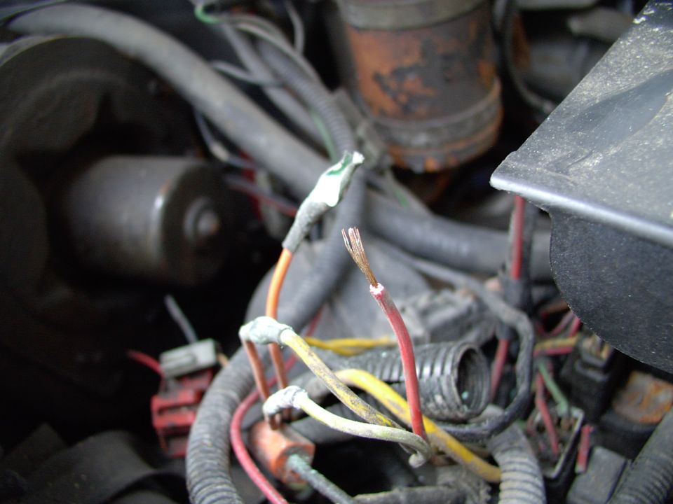 Field wires from the alternator. Just a little corroded !