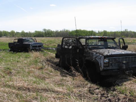 1977 Ford F-150 - Two trucks are stuck in the mud in a field with trees in the background.