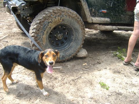 2004 Jeep TJ photo