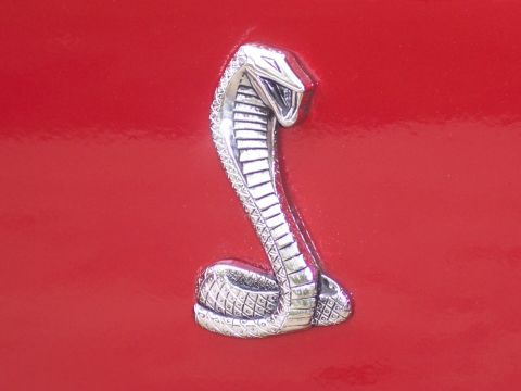 1972 Ford Ranchero - Close-up of a silver cobra emblem, likely a car badge, against a red surface.
