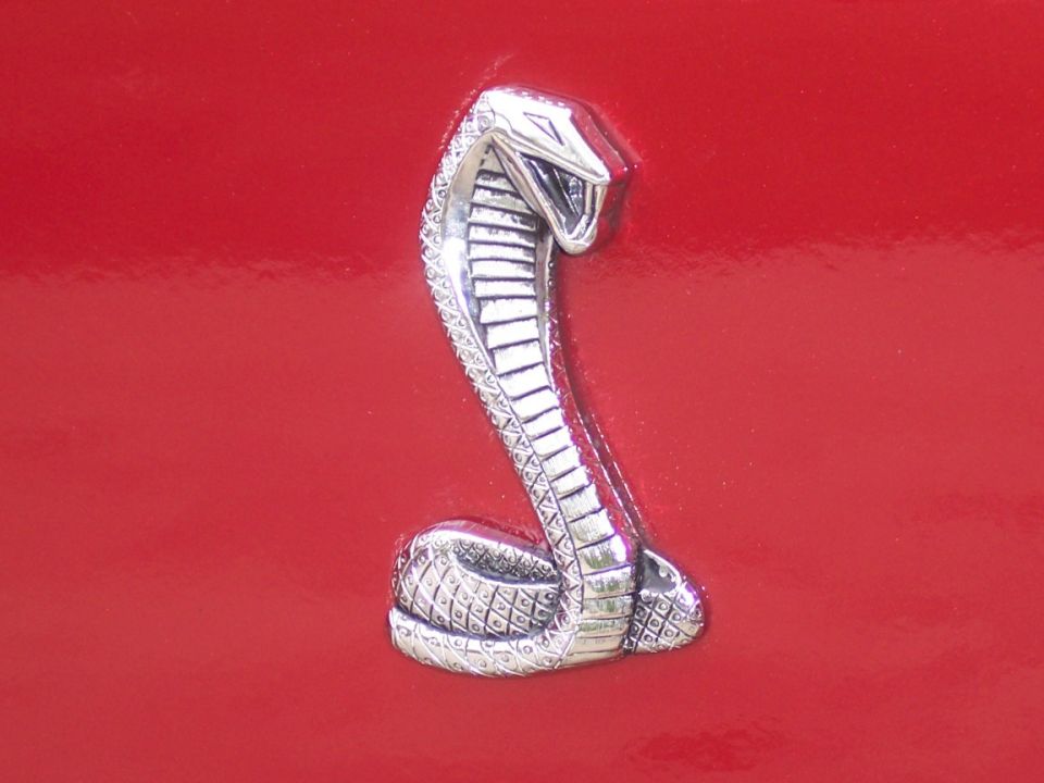 Chrome cobra snake emblem on glossy red vehicle panel