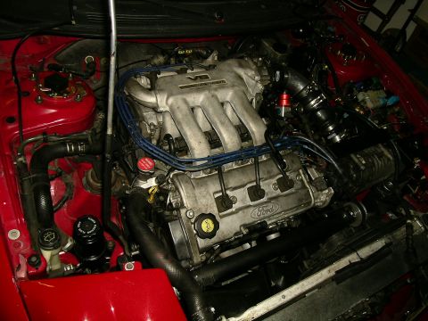 1993 Ford Probe - Close-up view of a V6 engine bay, showing the Ford branding on the engine cover.