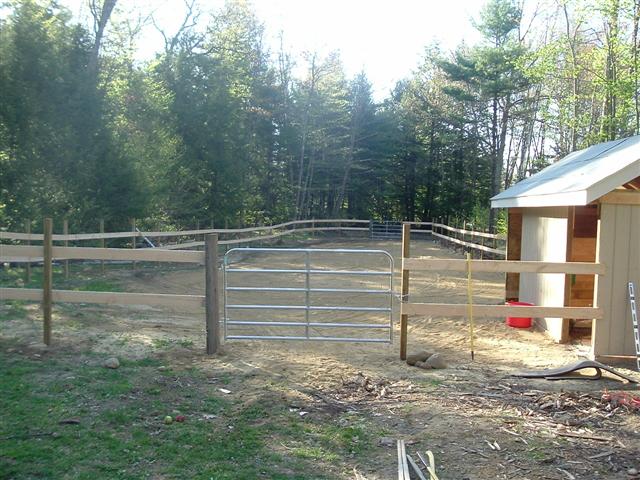 Wooden fence and metal gate surround a dirt area next to a small shed. Trees are in the background