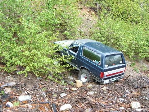 1980 Ford Bronco - JOEY FOUND A NICE SPOT TO PARK