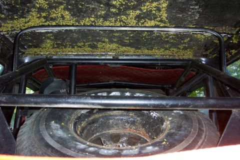 1978 Ford Bronco - Interior view of a vehicle, showing a spare tire and a roll cage structure.