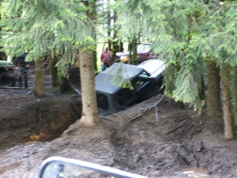 1980 Ford Bronco - Several off-road vehicles are stuck in the mud and trees after an off-road excursion.