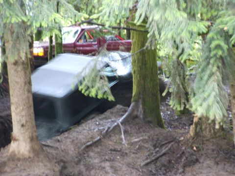 1980 Ford Bronco - A red pickup truck is visible behind a partially submerged vehicle in a dense forest.