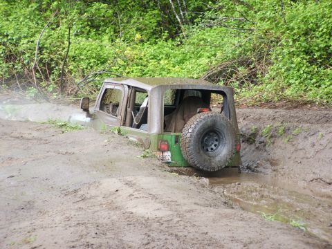 1980 Ford Bronco - Off-road Jeep Wrangler deeply stuck in thick mud on a forest trail.