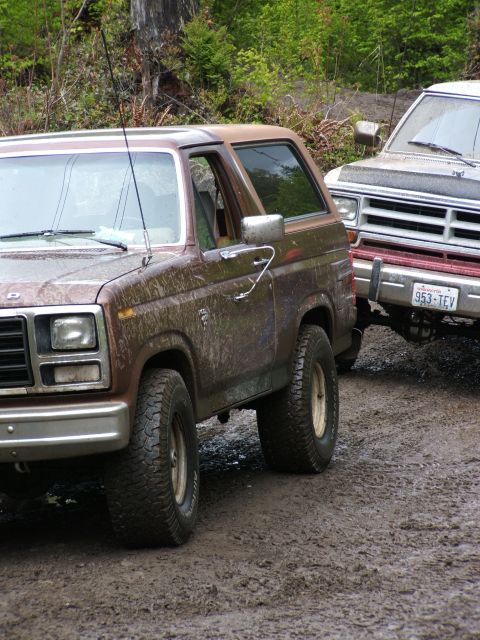 1980 Ford Bronco photo