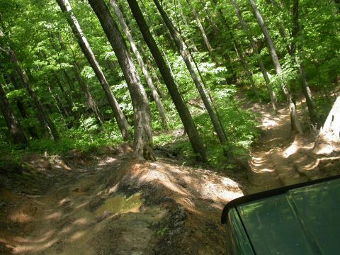 1990 Ford Bronco - Steep, narrow, and muddy.