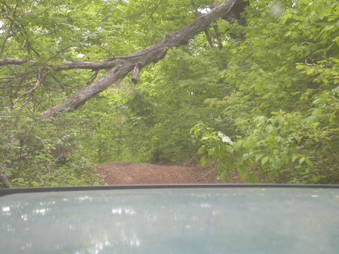 1990 Ford Bronco - Some of the trails could have been maintained a little better. Driving under this didn't really make me happy, Juice52 barely squeezed unde…