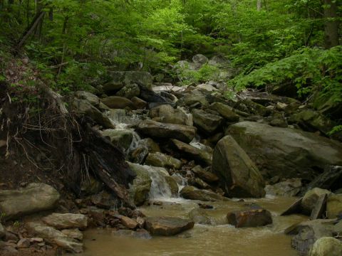 1990 Ford Bronco - A stream cascades over rocks in a wooded area, with a "SuperMotors.net" watermark at the bottom right.
