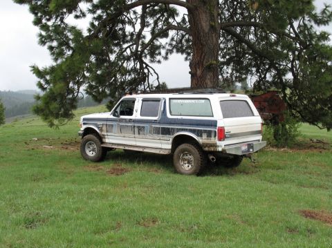 1994 Ford C-350 (Centurion Conversions) - This modified Ford Bronco SUV is parked on a hill with a large tree overhead.