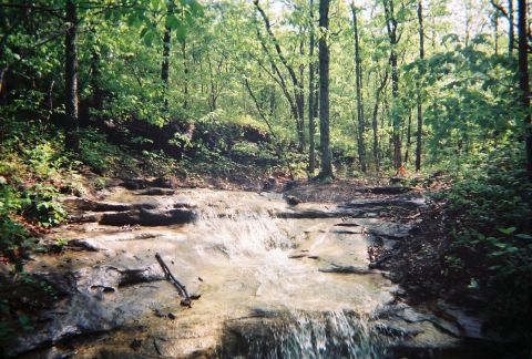1978 Ford Bronco - A natural landscape with a stream running through rocks and trees, suggesting an off-road environment.