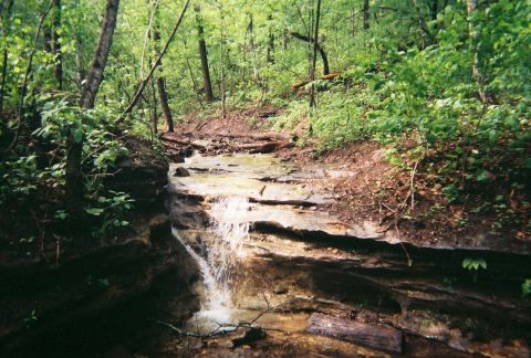 1978 Ford Bronco - A natural scene of a forest stream and waterfall, captured on April 29, 2006.