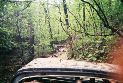 1978 Ford Bronco - Driving through a forest on a rough, muddy trail.