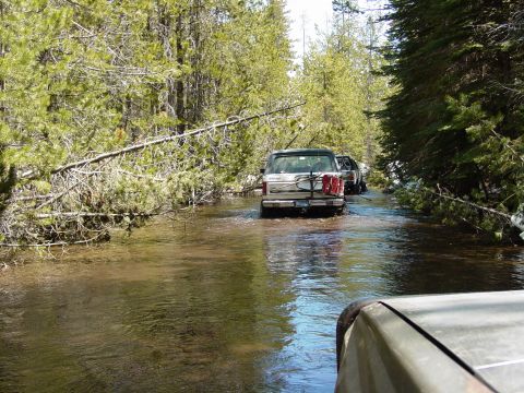 1986 Ford Bronco - Multiple vehicles navigate a flooded forest road, with a fallen tree partially obstructing the path.