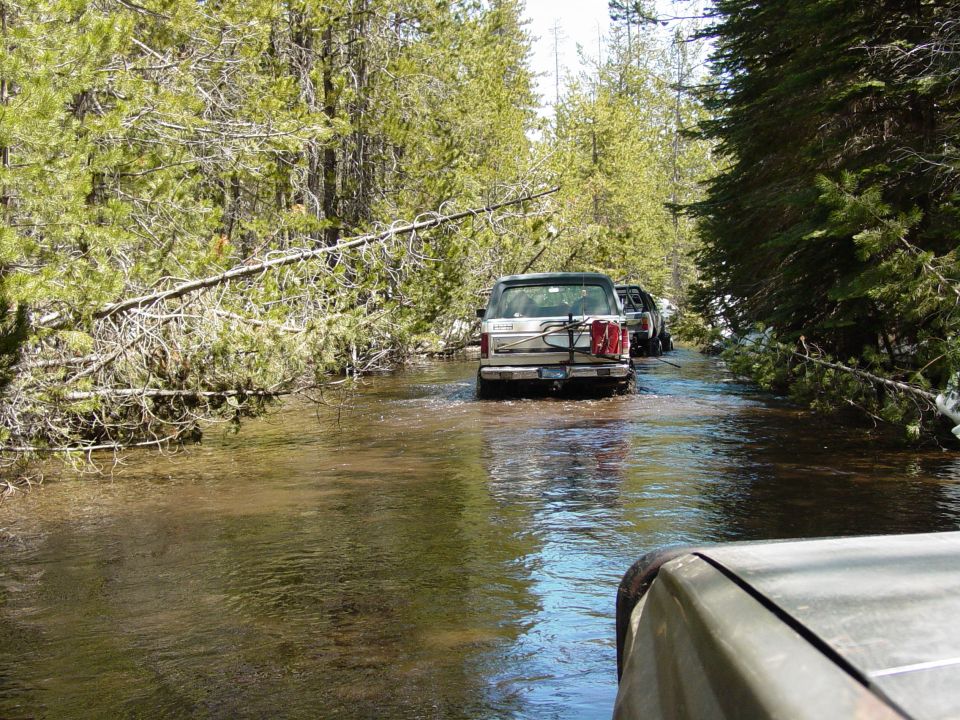 1986 Ford Bronco driving through flooded forest road with fallen tree branches