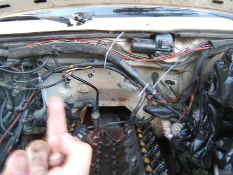 1988 Ford Bronco - Just a little friendly gesture to the bad leaky heads
