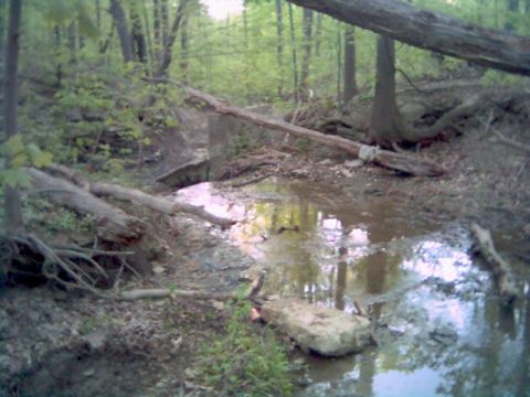 1986 Ford Bronco - Wooded stream bed with fallen logs and muddy water. Supermotors.net logo is visible.